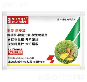 生姜碧多加-鑫禾生物