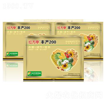 Sa(chn)200-tf(wn)