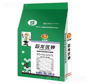 (yu)20-10-20+TE-r