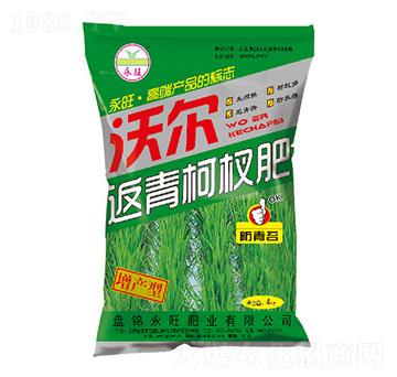 aͷ辷-֠-ʘI(y)