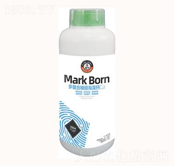 Ǵ}1000ml-λ