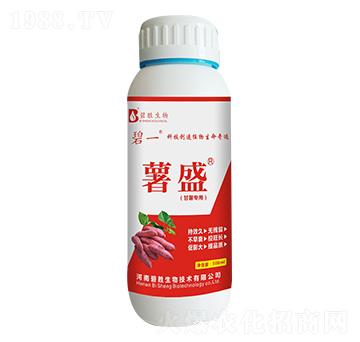 팣(zhun)÷ ʢ ̄