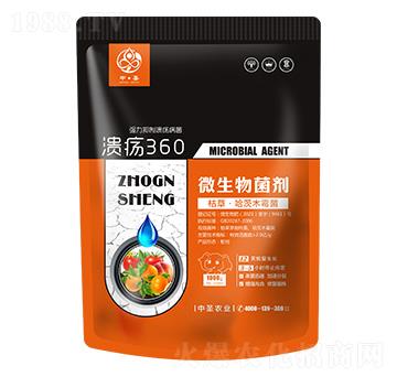 ݲݡľù-360-ʥr(nng)I(y)