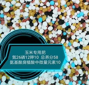 ׌ðḯֲ΢Ԫ26-12-10-rrI(y)