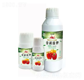 (zhun)Á-л