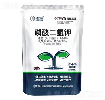 1000g-ؐ-?tng)S