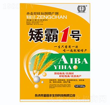 ˮSa(chn)-1̖(ho)-S