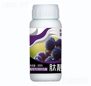 ьD(zhun)ɫø-n-