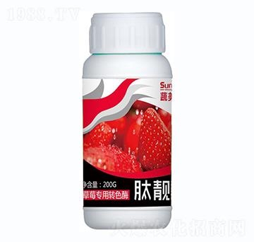 ݮD(zhun)ɫø-n-