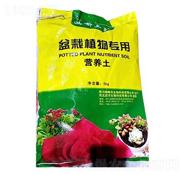 5kgֲ(zhun)àI(yng)B(yng)-ཌ