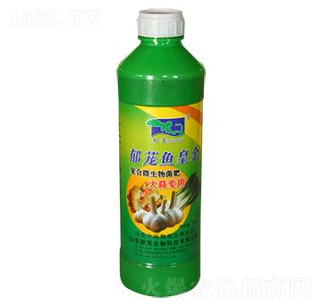 ⌣(zhun)-d~(y)ʽ-d