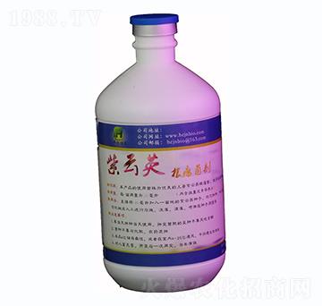 500mlӢҺw-A(chung)r