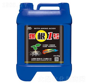 1̖(ho)-~