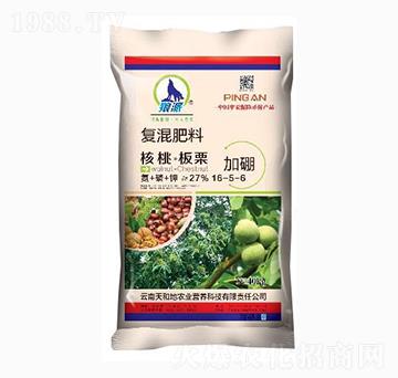 Ұ(zhun)Ï(f)16-5-6-