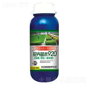 ľ920-r(nng)