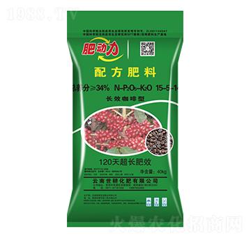 L(zhng)Ч䷽-
