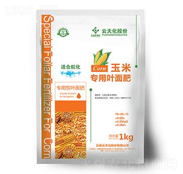 컯׌(zhun)~-o(j)
