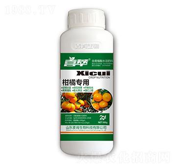 ٌ(zhun)-