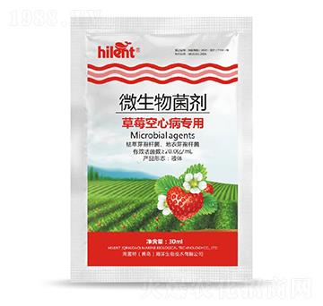 草莓空心病專用微生物菌劑-海藍特