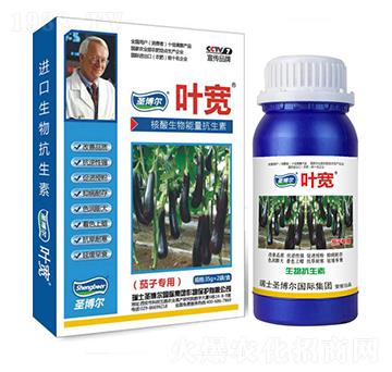 ӌ(zhun)~-øT-~-ʥ