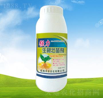 (qing)焩-ֲ-