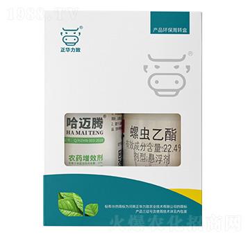 (qing)ײͣ~v+22.4%x-A