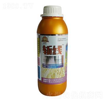 ؾ-(lin)ջW(xu)