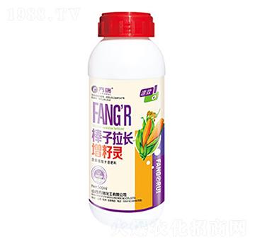 L(zhng)`-