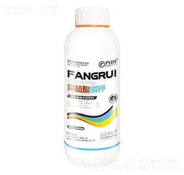 1000mlֲ-