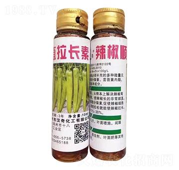 ֱL(zhng)-h滯