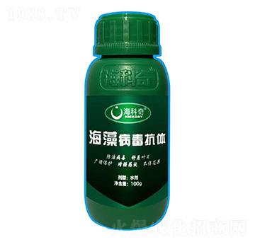 岡w-