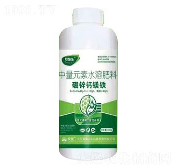 1300g\}VF-ِʩ-sҫrI(y)