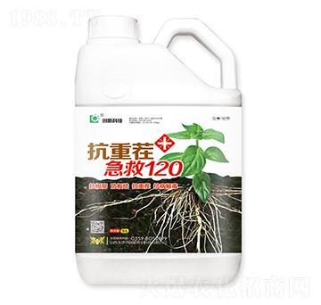 5Lز缱120-(chung)¿Ƽ