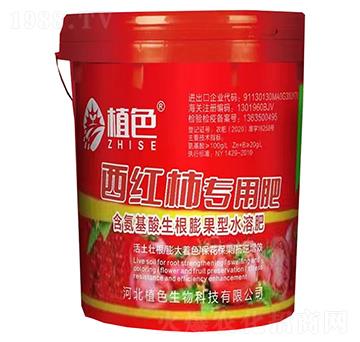 t(zhun)÷-ֲɫ