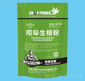 1kg-r(nng)I(y)