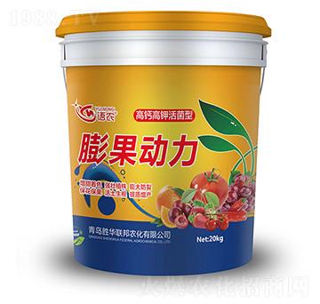 }⛻(dng)20kg-Zr(nng)-A(lin)