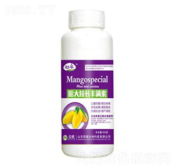 L(zhng)SM(mn)أ500g--sҫr(nng)I(y)