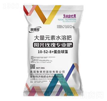(yng)õ匣ôԪˮܷ10-52-8+-?sh)°? />
                                </div>
                            </div>
                            
                            <style type=