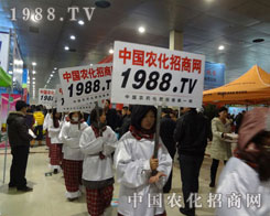1988.TV(zhn)oֹ