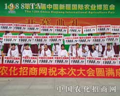 oԳֵ׵1988.TVđ(zhn)ʿ