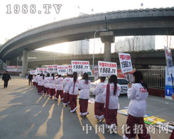 2013շpr(nng)W(wng)(zhn)ʮ