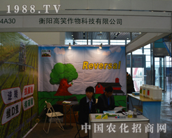 ꖸЦƼϯ2014ֲ