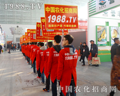 1988.TVˆTwP(yng)