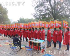1988.TV2016(j)ֲו(hu)ϱF(xin)ͻ׷҂x